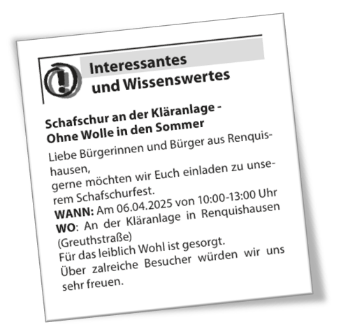 Bild von einem Schaf