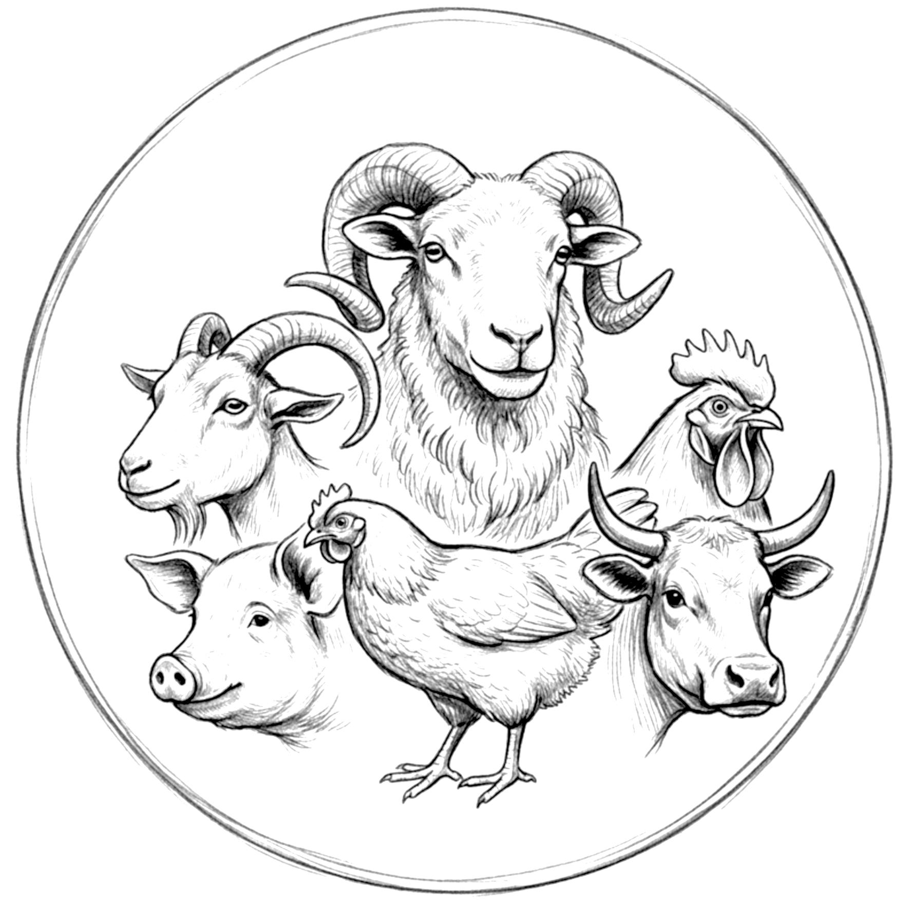 Titelbild mit Schafen und Ziegen