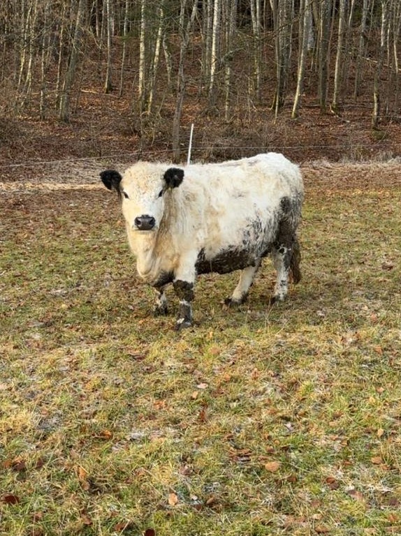 Bild_Rufina